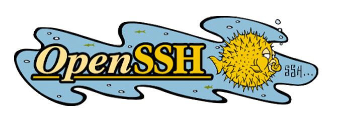 漏洞预警:OpenSSH 出现远程执行代码漏洞