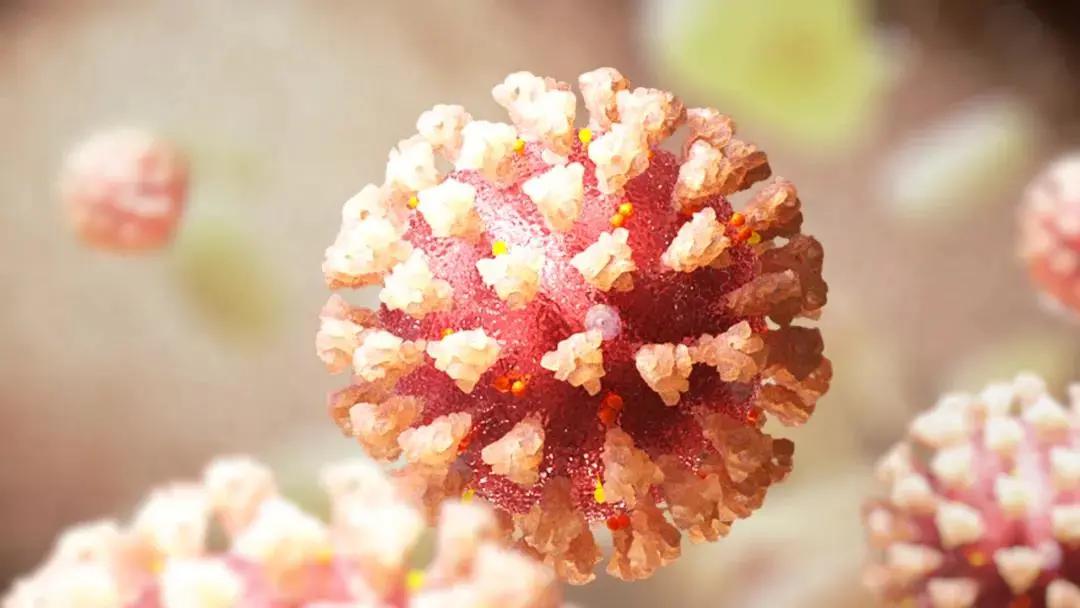 专家认为美国可能无法实现COVID-19群体免疫的目标