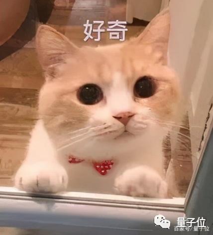 百度智能搜索到底有多智能?