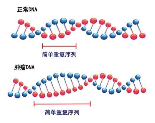 杀死八种癌症!中国要有自己的抗癌“神药”了?