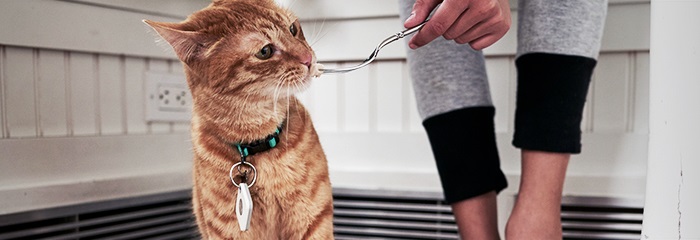 Tile与亚马逊达成新合作 借助Echo设备构建智能追踪器的寻物网络