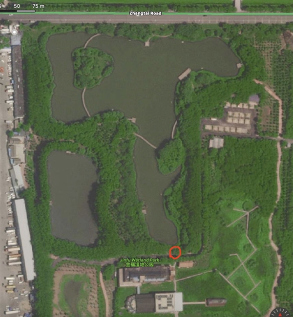 五一特斯拉免费体验EAP!车主爆料:差点全家出事