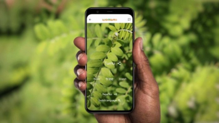 谷歌推出Woolaroo应用 帮助保护濒危语言