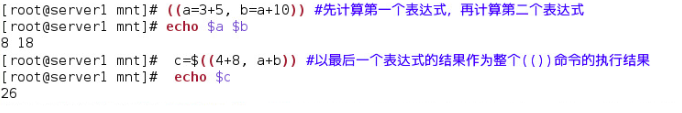shell中的数学运算