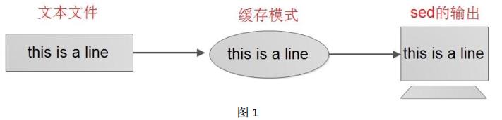 sed命令详解
