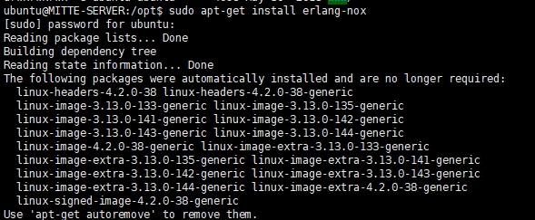 Ubuntu安装rabbitMq