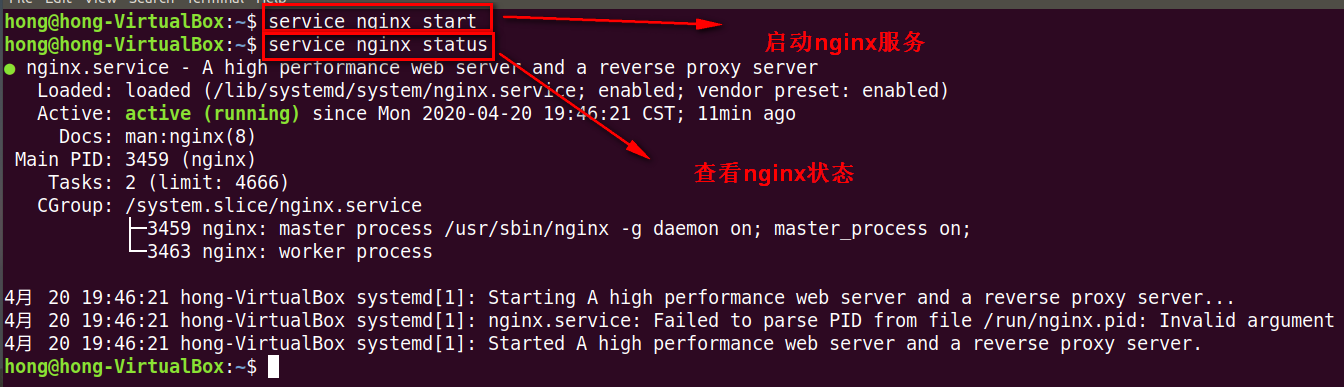 Ubuntu下安装nginx