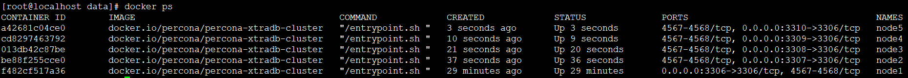 Docker搭建MySQL的PXC集群