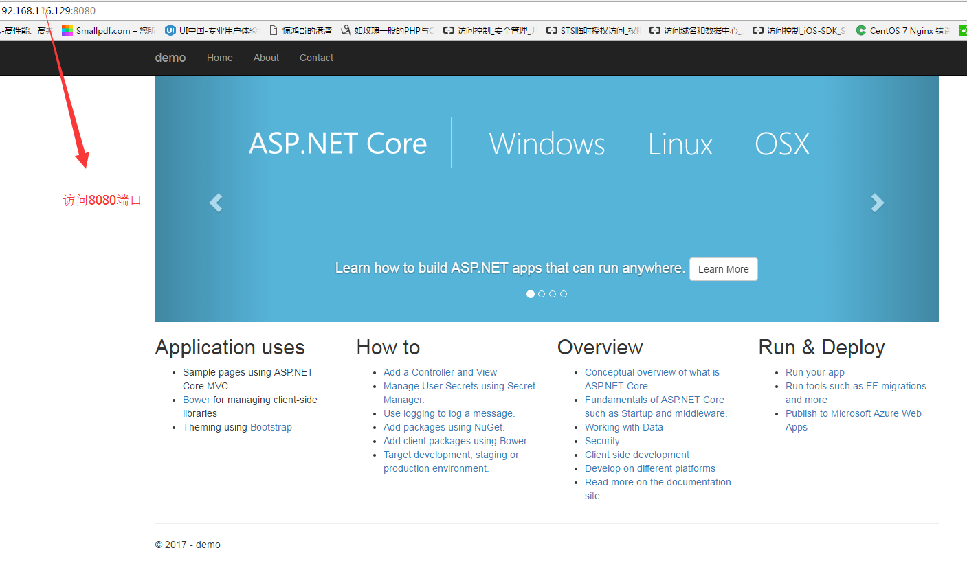 Docker打包 Asp.Net Core应用,在CentOS上运行