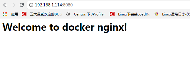Docker 安装 Nginx