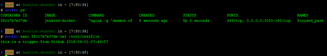 Jenkins + Github持续集成构建Docker容器