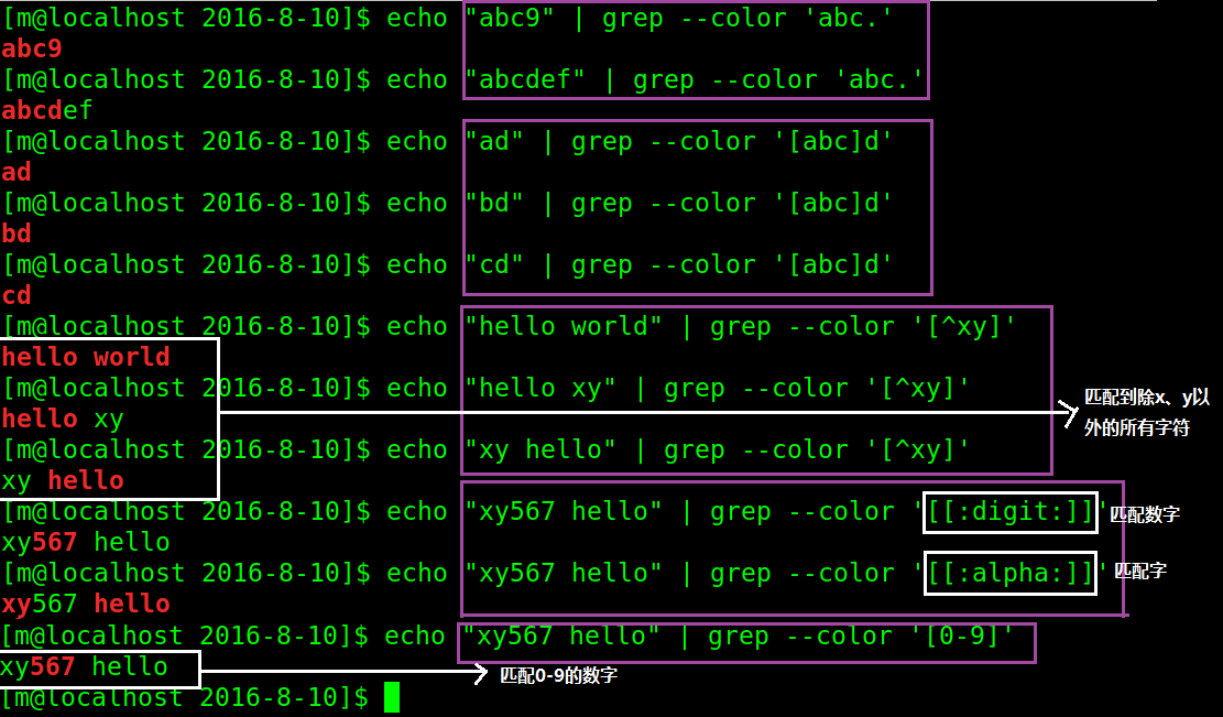 shell 正则表达式