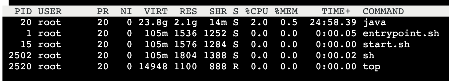 Java 进程占用 VIRT 虚拟内存超高的问题研究