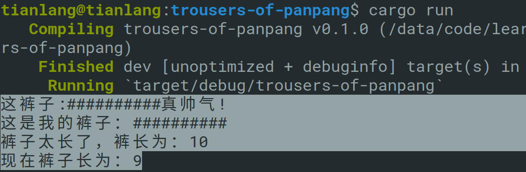 学习新时代编程语言Rust-13裤子太长了