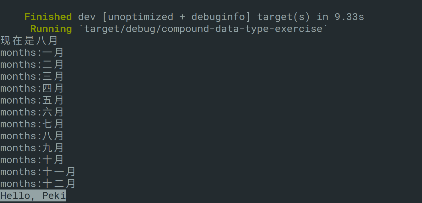 学习新时代编程语言Rust-10函数