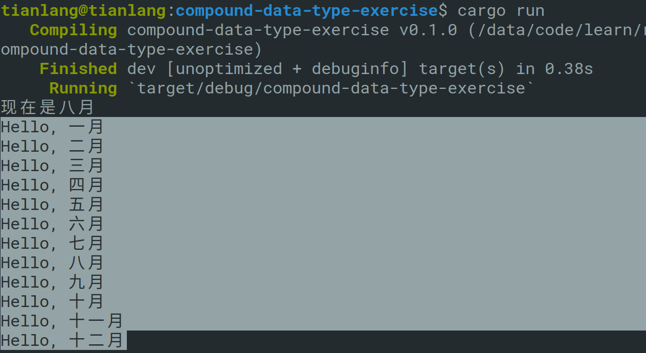 学习新时代编程语言Rust-10函数