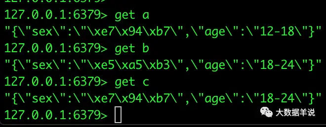 FLINK SQL 实践 – 14 维表 lookup join 实战