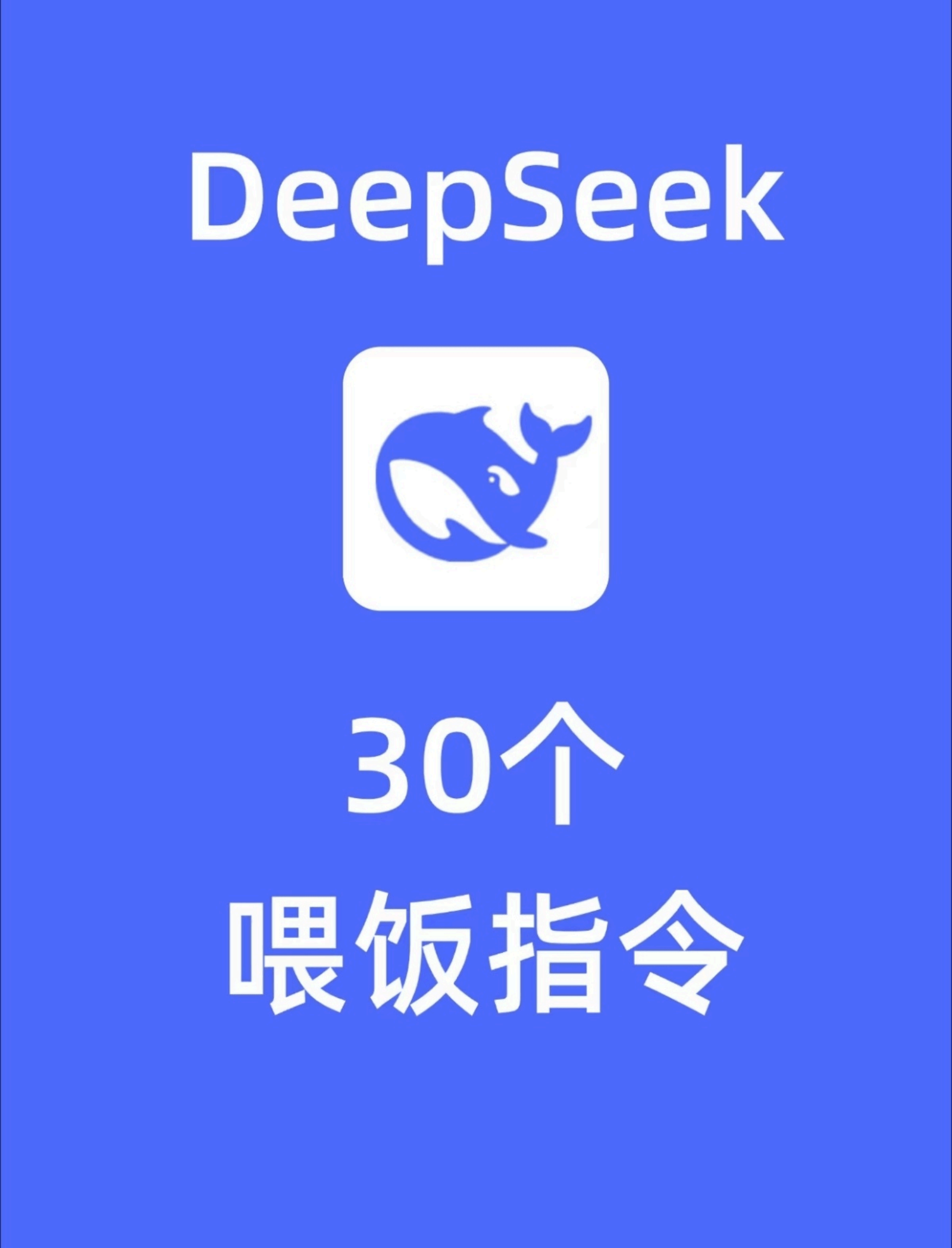 AI 喂饭指令 – DeepSeek