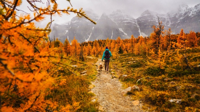 展望2020:传统容器已死,安全容器将成为云原生标配