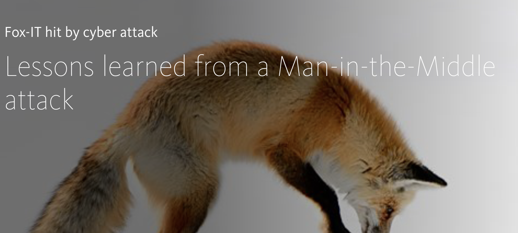 尴尬！知名安全公司坦承遭遇攻击，网站被劫持 10 小时